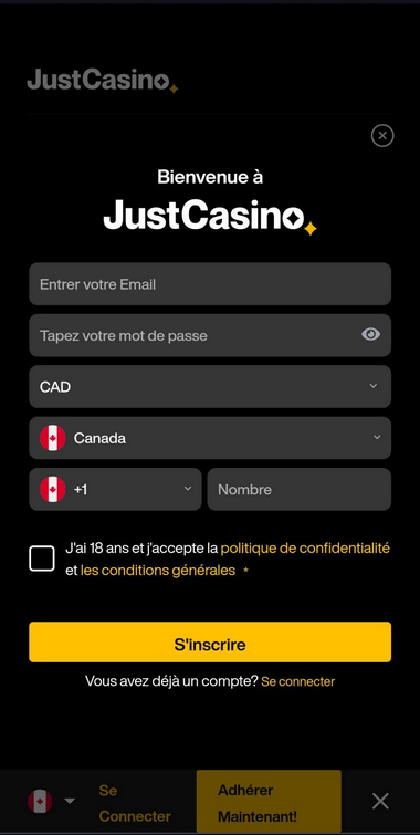 Illustration 2 du processus d'inscription à Just Casino