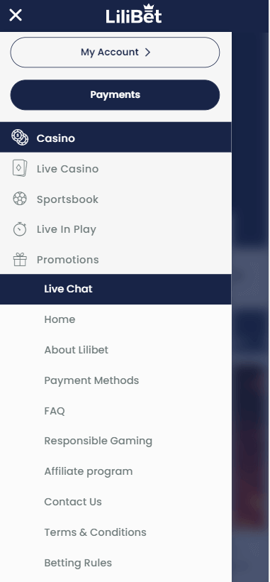 LiliBet Casino Mobile Preview 2