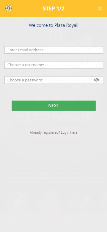 A glimpse at the registration process for Plaza Royal Casino: Image 1