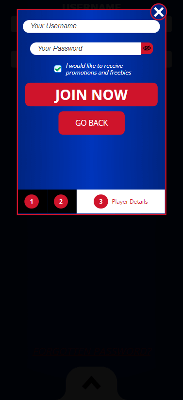 Third image further illustrating Spin Hill Casino's registration procedure.