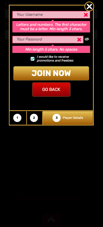 Step-by-step visual guide of the Win Windsor Casino registration process - Image 3.