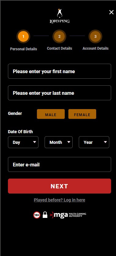 An Image Displaying the LordPing Registration Process - Part 1