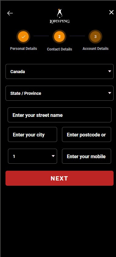 An Image of the LordPing Registration Process - Part 2