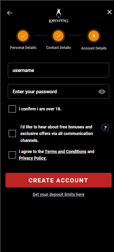 An Image of the LordPing Registration Process - Part 3