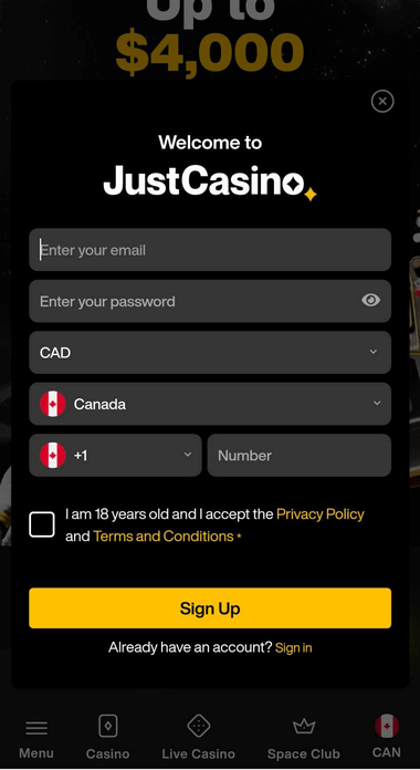 Illustration 1: Registration process at Just Casino