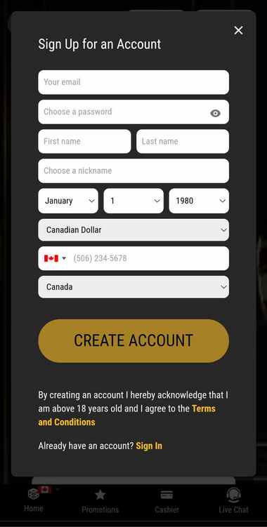 Second image detailing the registration process at Big Dollar Casino.