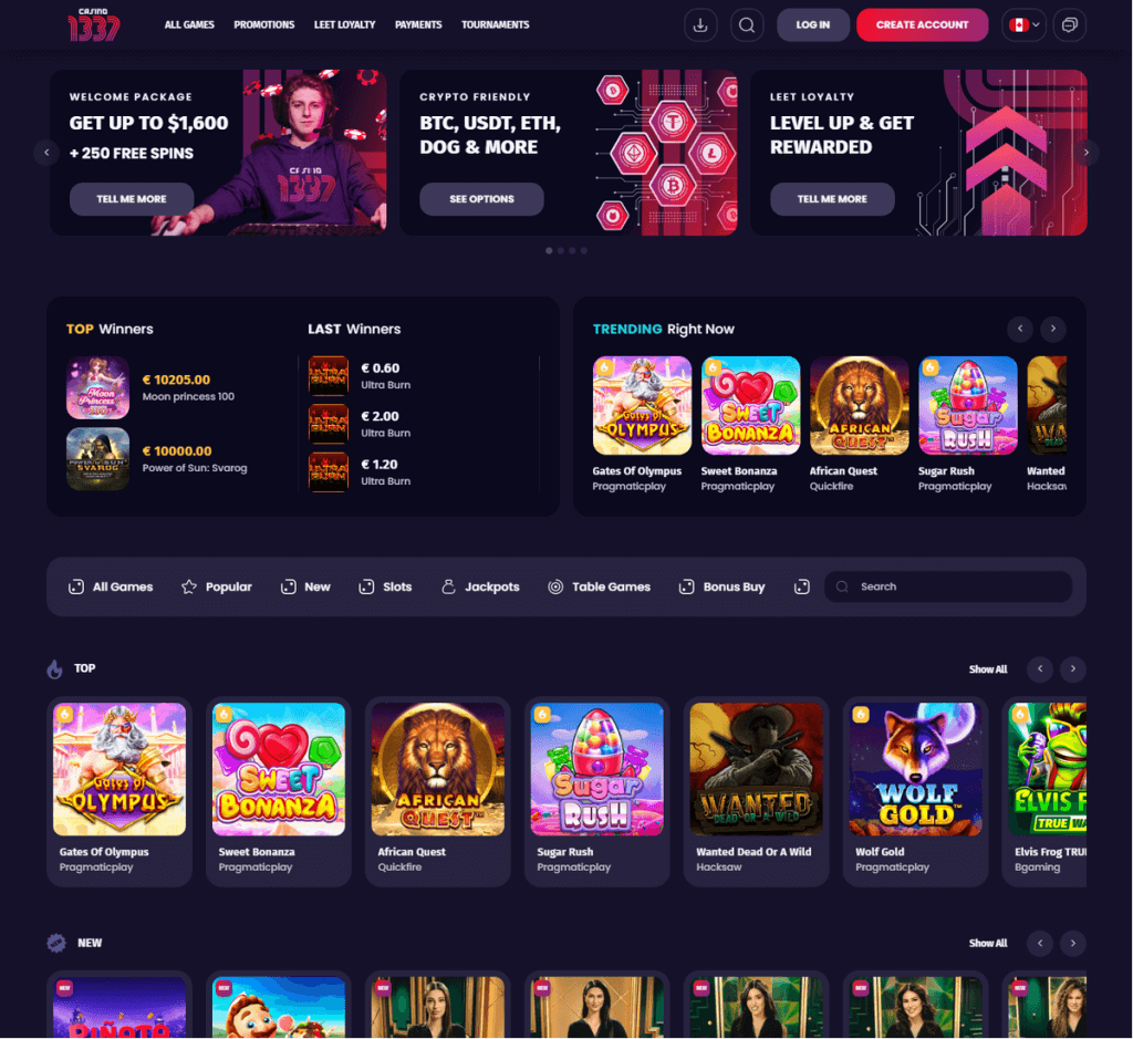 Casino 1337 Desktop Preview 2
