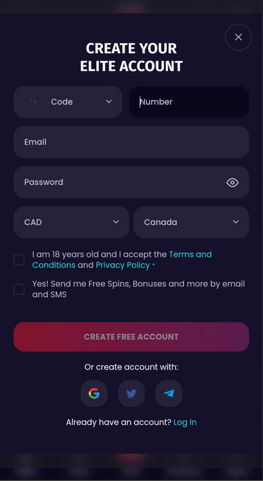 Casino 1337 Registration Process Image 2