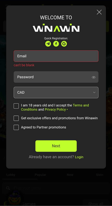 Visual guide to the Winawin Casino registration process, Part 4.