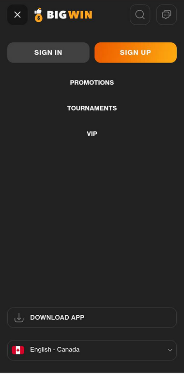 BigWin Casino Mobile Preview 1
