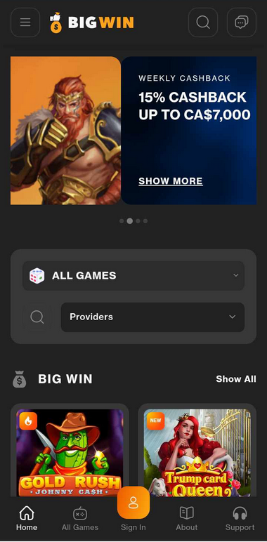 BigWin Casino Mobile Preview 2