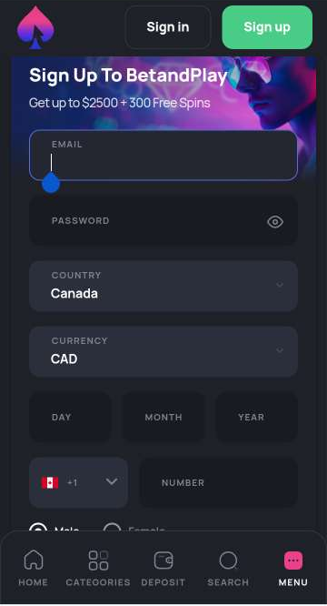 Images Depicting Betandplay Casino's Registration Process – Image 2