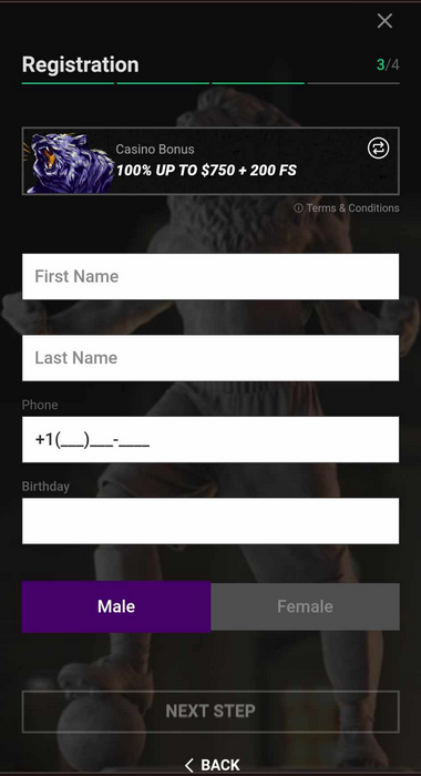 Visual guide to registration at Betinia Casino: Image 3