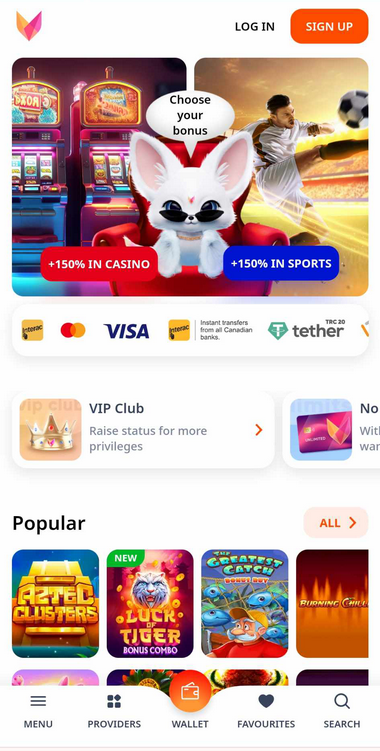 Tether Casinos Mobile Preview 2