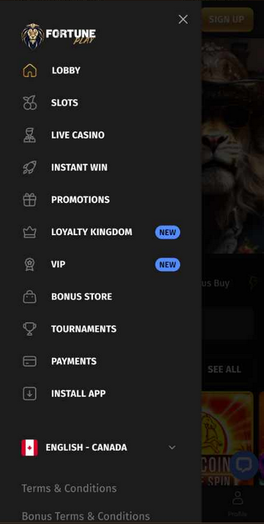 Bitcoin Wallets American Express