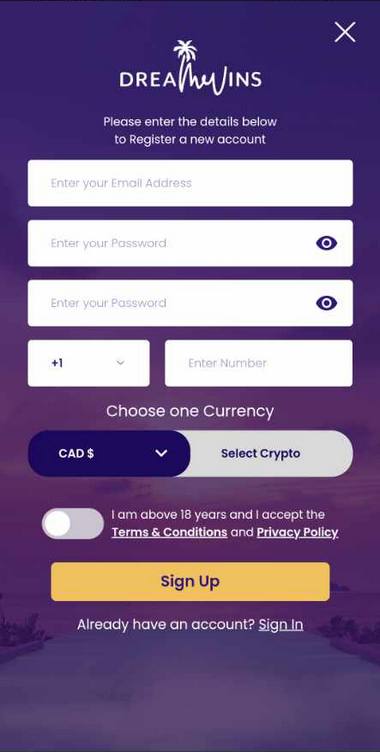 A visual guide to the DreamWins Casino registration process.