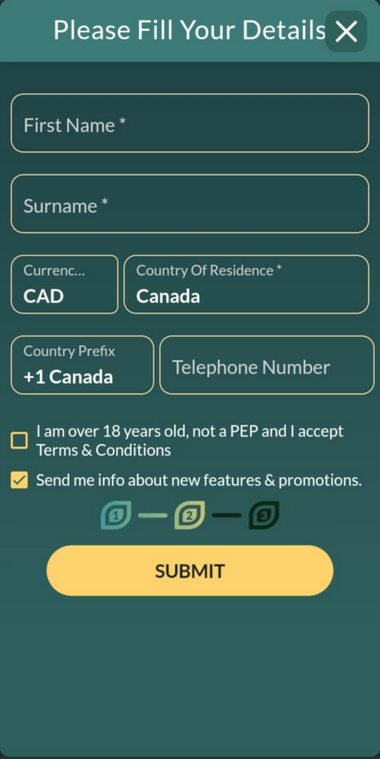 Setting up an account involves entering your email and creating a secure password.